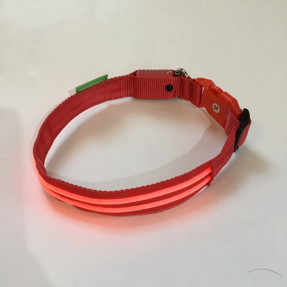 Illumiseen LED dog collar, lights up or flashes, nylon, size M, fits 16”to 20”.